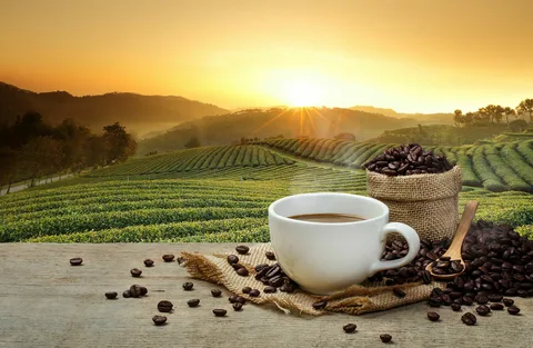 قهوه و چای خوب را چگونه انتخاب کنیم؟