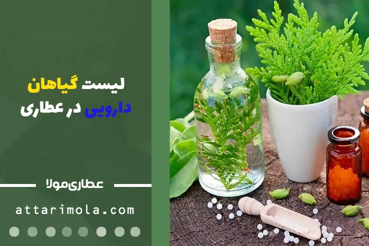 لیست گیاهان دارویی در عطاری