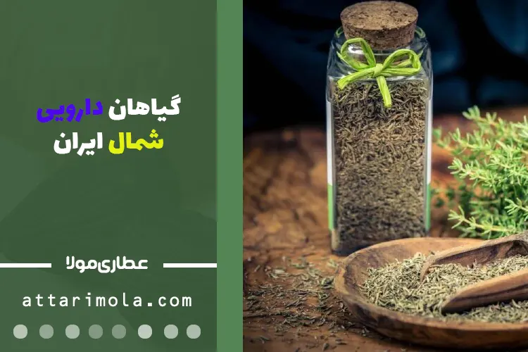 گیاهان دارویی شمال ایران