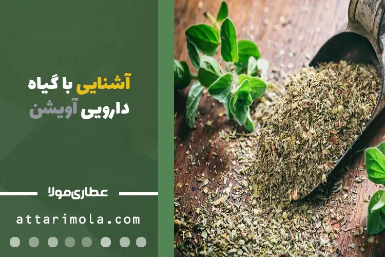 آشنایی با گیاه دارویی آویشن