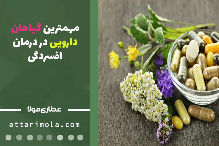 مهمترین گیاهان دارویی در درمان افسردگی