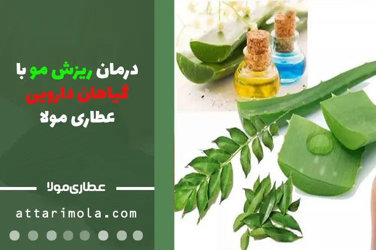 درمان ریزش مو با گیاهان دارویی