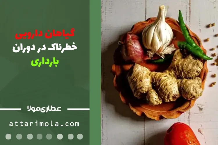 گیاهان خطرناک در دوران بارداری