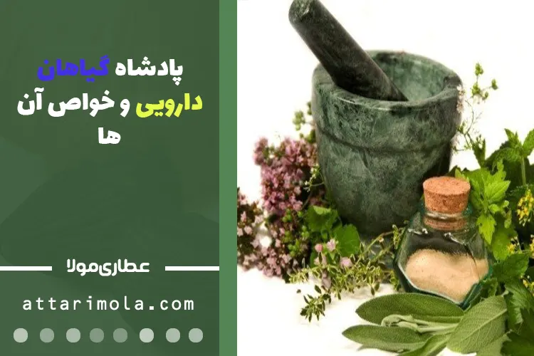 پادشاه گیاهان دارویی و خواص آن‌ها