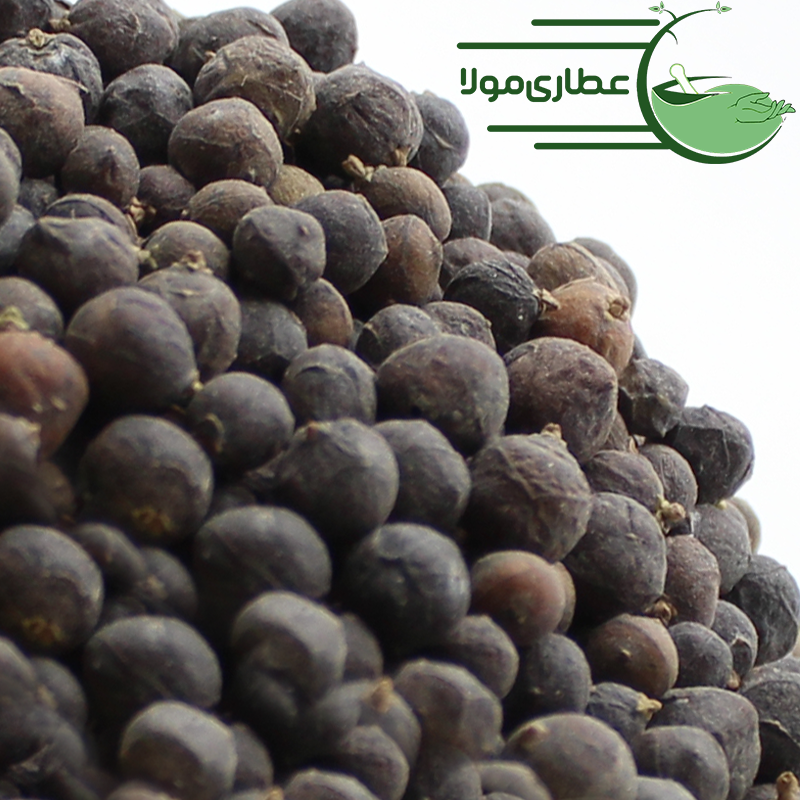 ابهل سرو کوهی عرعار اورس اورس ایرس سرو کوهی اوهیروهوبیر